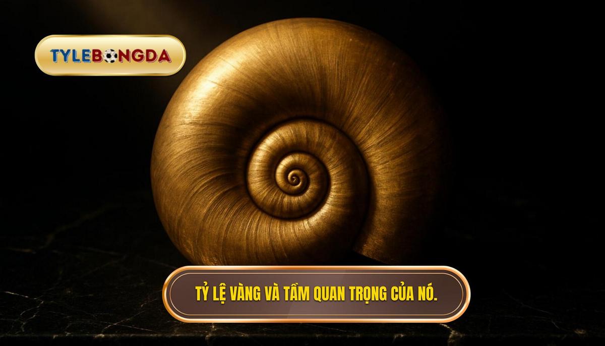 Tỷ lệ vàng là gì và tại sao nó quan trọng_